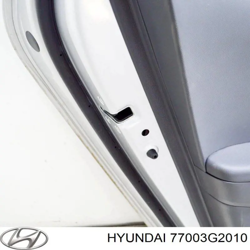 Puerta trasera izquierda Hyundai/Kia 77003G2010 precio, desde 675,18 EUR