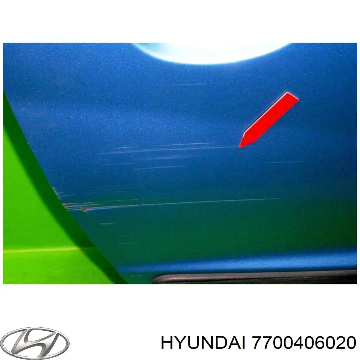7700406020 Hyundai/Kia puerta trasera derecha