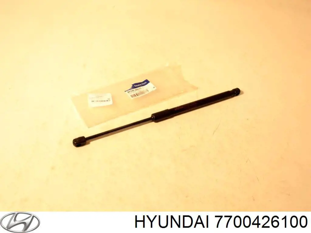 7700426100 Hyundai/Kia puerta trasera derecha