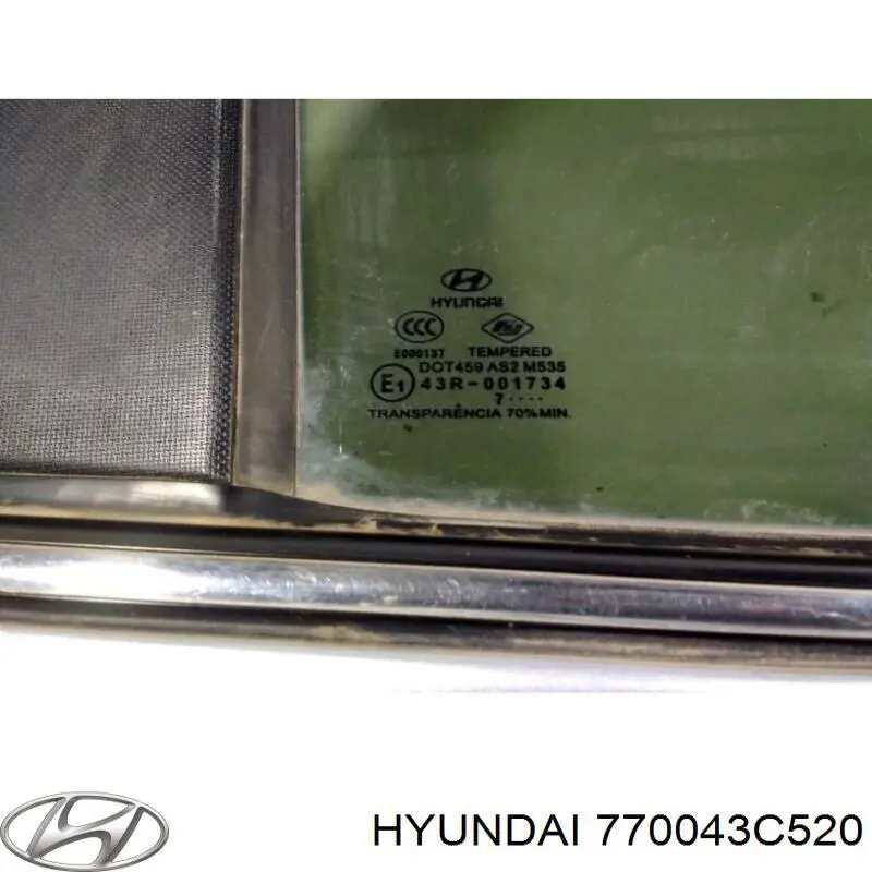 770043C520 Hyundai/Kia puerta trasera derecha