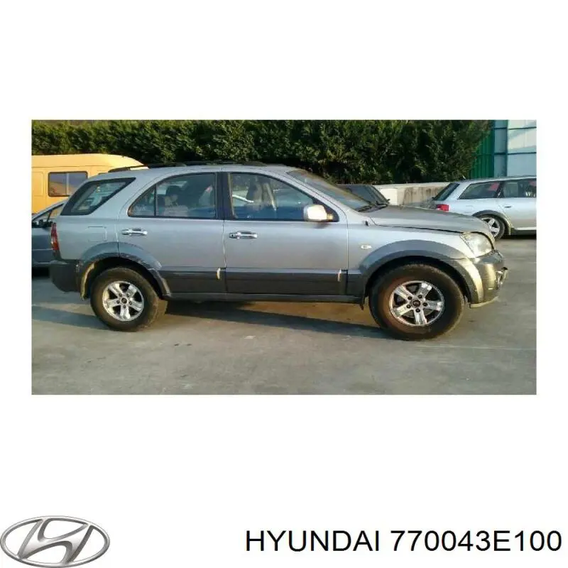 Puerta trasera derecha Hyundai/Kia 770043E011 precio, desde 211,99 EUR