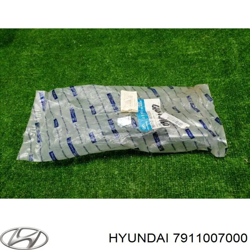 Comprar 7911007000 Hyundai/Kia Bisagra izquierda del capó