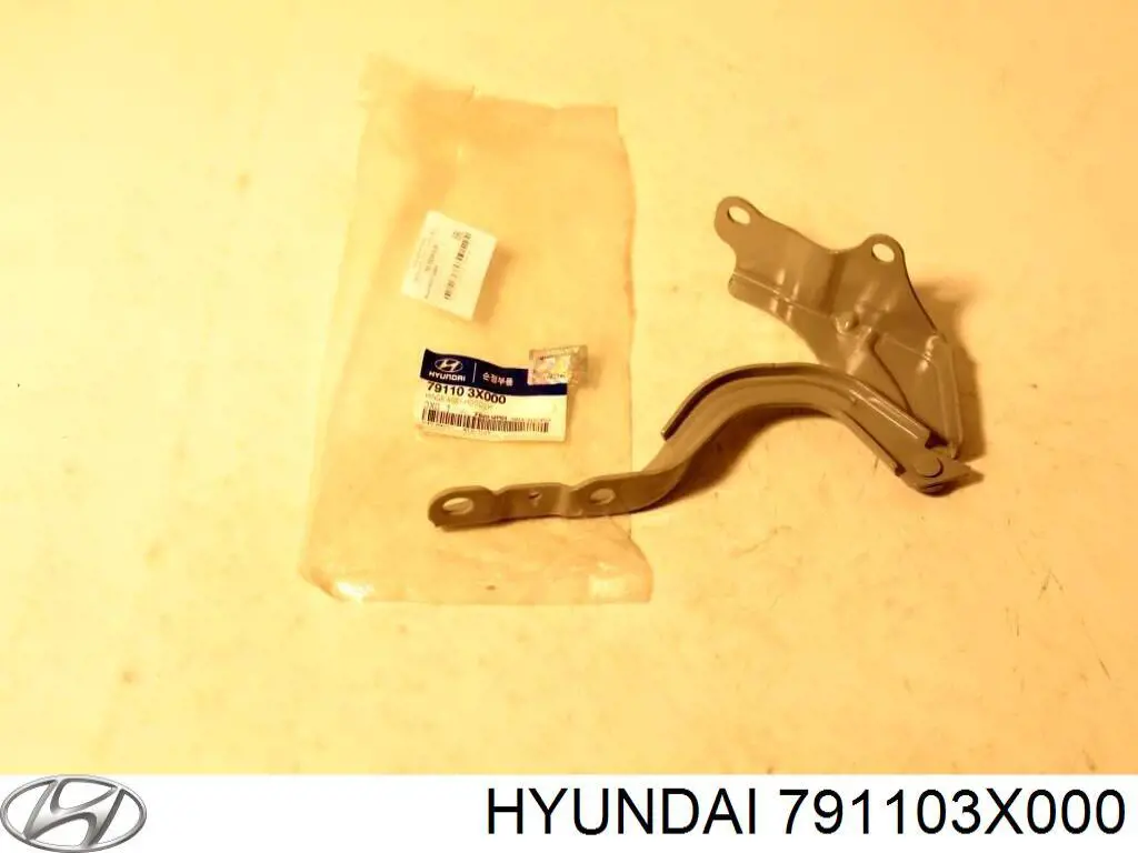 Bisagra izquierda del capó Hyundai/Kia 791103X000 precio, desde 13,81 EUR