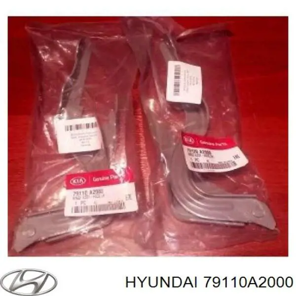 Bisagra izquierda del capó Hyundai/Kia 79110A2000 precio, desde 34,32 EUR