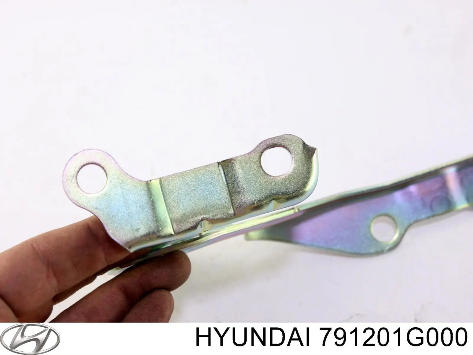Bisagra derecha del capó Hyundai/Kia 791201G000 precio, desde 19,95 EUR