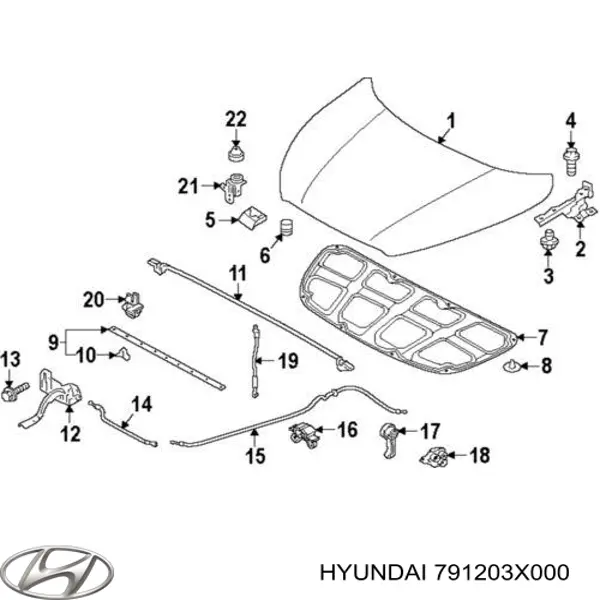 Bisagra, capó del motor derecha para Hyundai Elantra (MD)