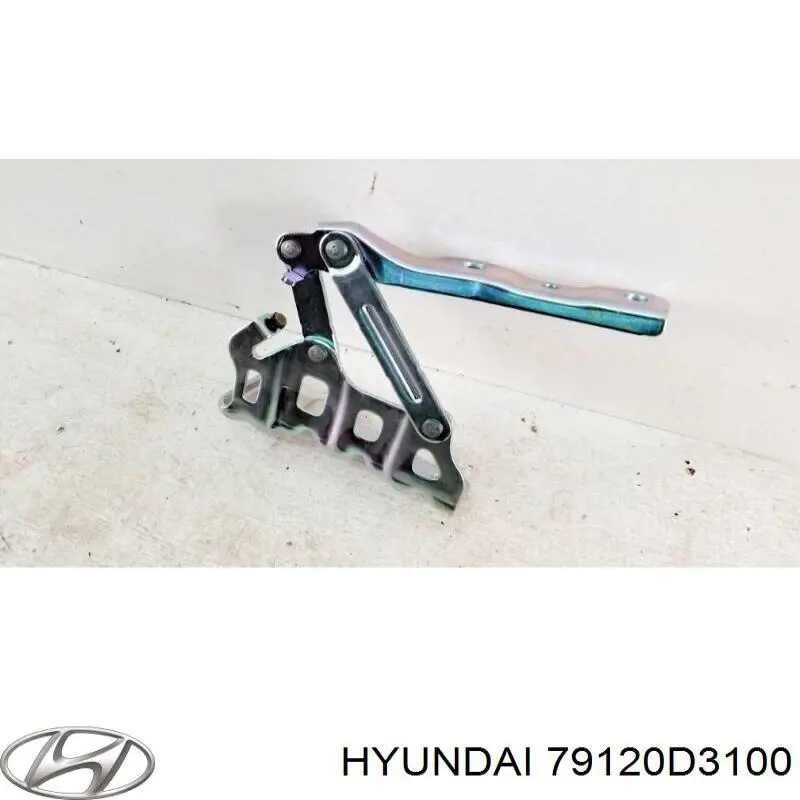 Bisagra derecha del capó Hyundai/Kia 79120D3100 precio, desde 28,50 EUR
