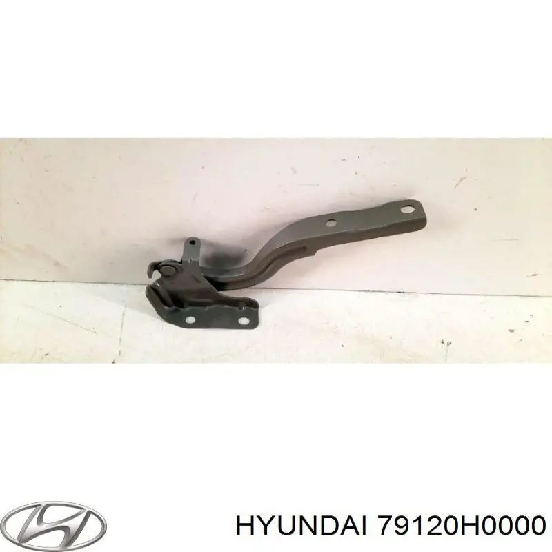 79120H0000 Hyundai/Kia bisagra, capó del motor derecha