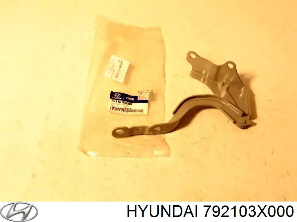 792103X000 Hyundai/Kia conjunto de bisagra, puerta del maletero