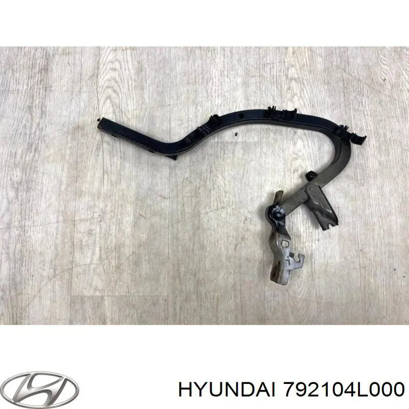 792104L000 Hyundai/Kia conjunto de bisagra, puerta del maletero