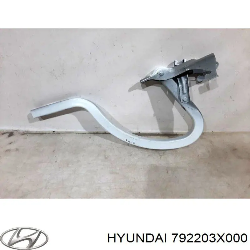 Conjunto de bisagra, puerta del maletero para Hyundai Elantra (MD)