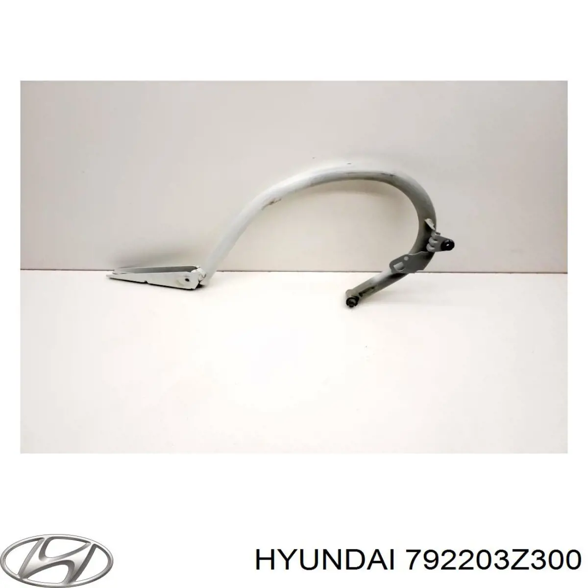 792203Z300 Hyundai/Kia