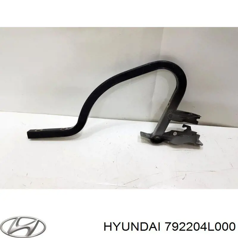 792204L000 Hyundai/Kia conjunto de bisagra, puerta del maletero