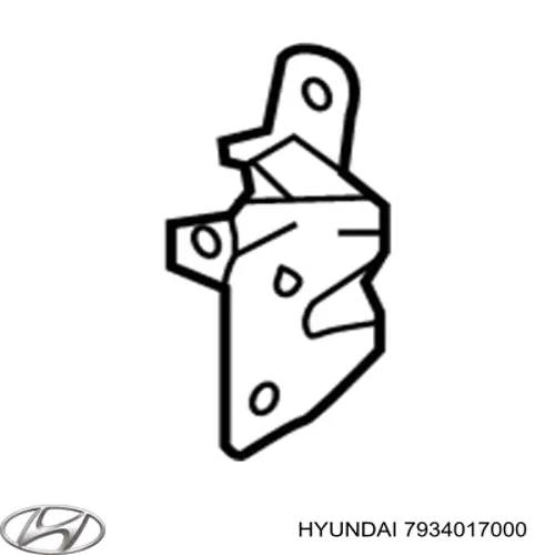 Bisagra de puerta trasera derecha para Hyundai Tucson (JM)