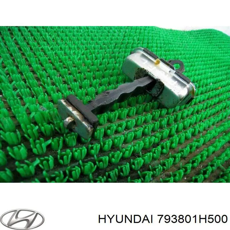 Limitador de apertura de puerta delantera izquierda Hyundai/Kia 793801H500 precio, desde 48,22 EUR
