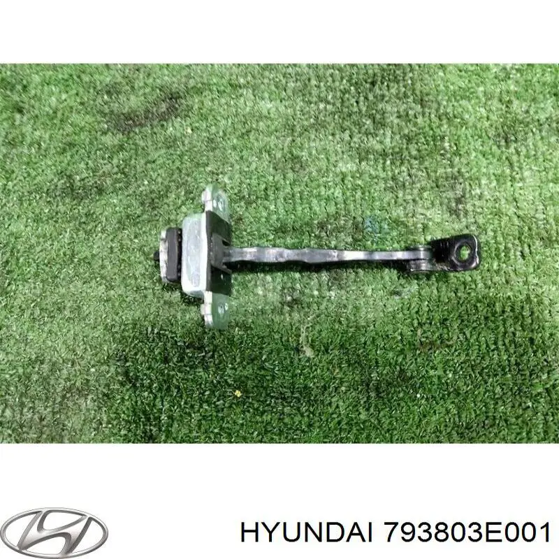 Limitador de apertura de puerta delantera izquierda Hyundai/Kia 793803E001 precio, desde 31,94 EUR