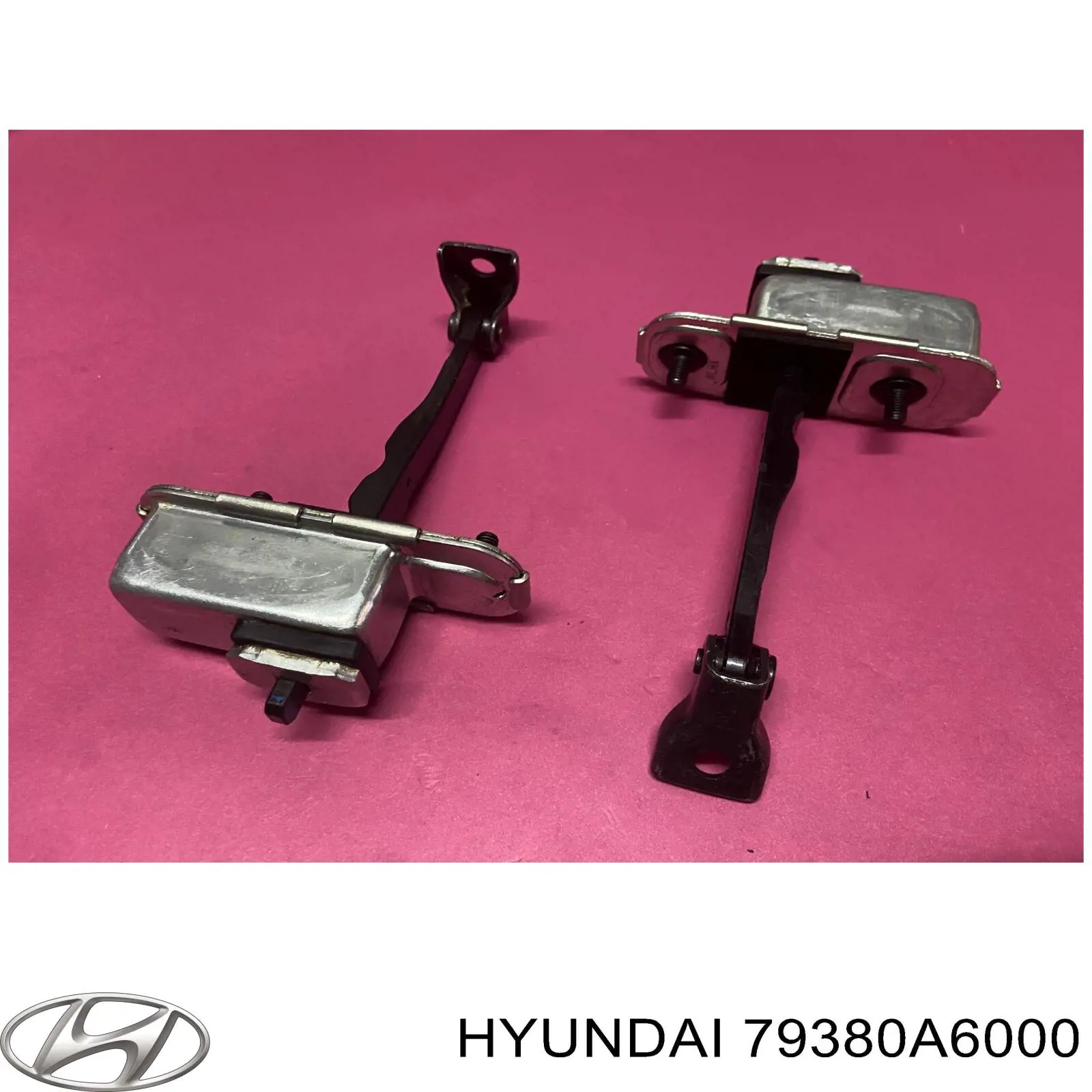 Limitador de apertura de puerta delantera izquierda Hyundai/Kia 79380A6000 precio, desde 11,63 EUR