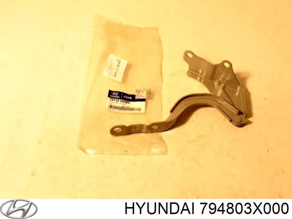 Asegurador puerta trasera izquierda para Hyundai Elantra (MD)