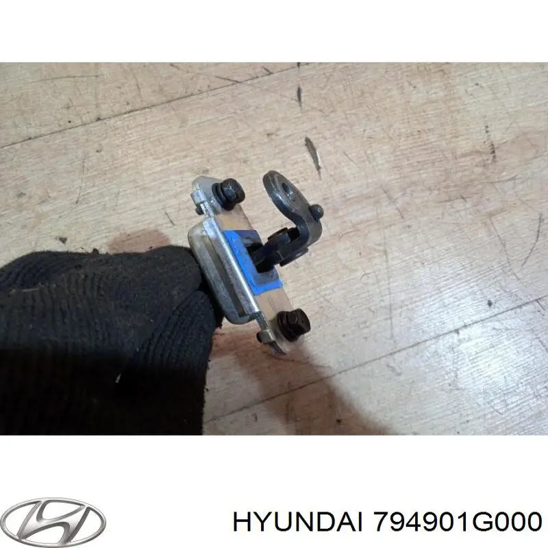Limitador de apertura de puerta trasera derecha Hyundai/Kia 794901G000 precio, desde 27,94 EUR