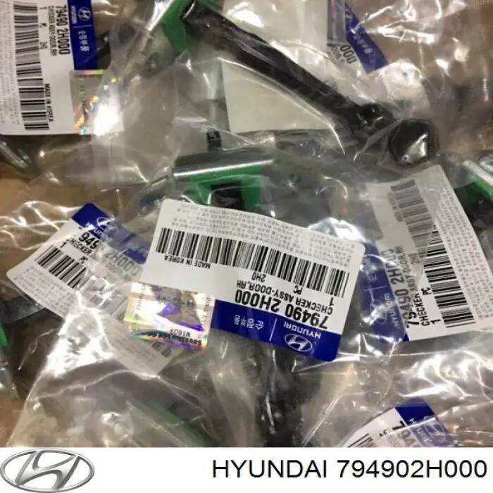 794902H000 Hyundai/Kia Limitador de apertura de puerta trasera derecha