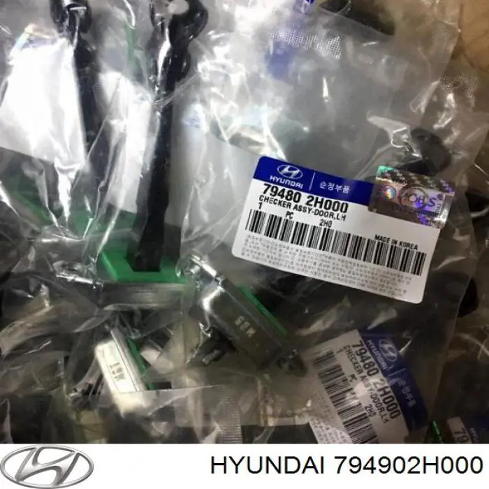 Limitador de apertura de puerta trasera derecha Hyundai/Kia 794902H000 precio, desde 40,88 EUR