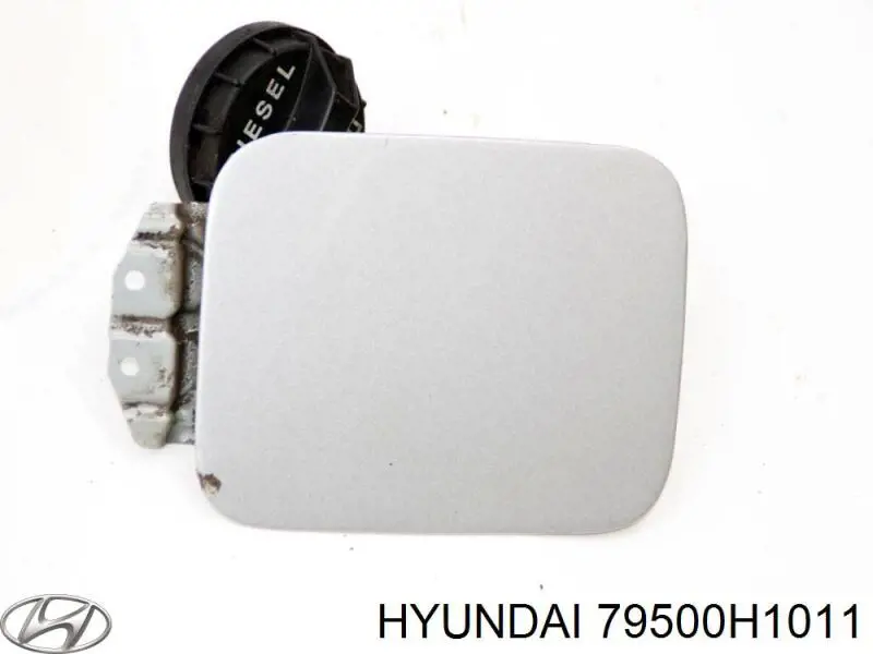 79500H1011 Hyundai/Kia tapa de la gasolina (depósito de combustible)