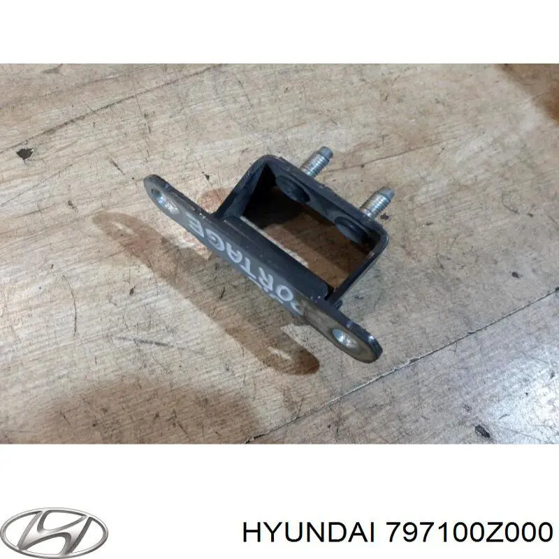 Bisagra de puerta de maletero Hyundai/Kia 797100Z000