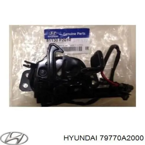 79770A2000 Hyundai/Kia bisagra de puerta de maletero