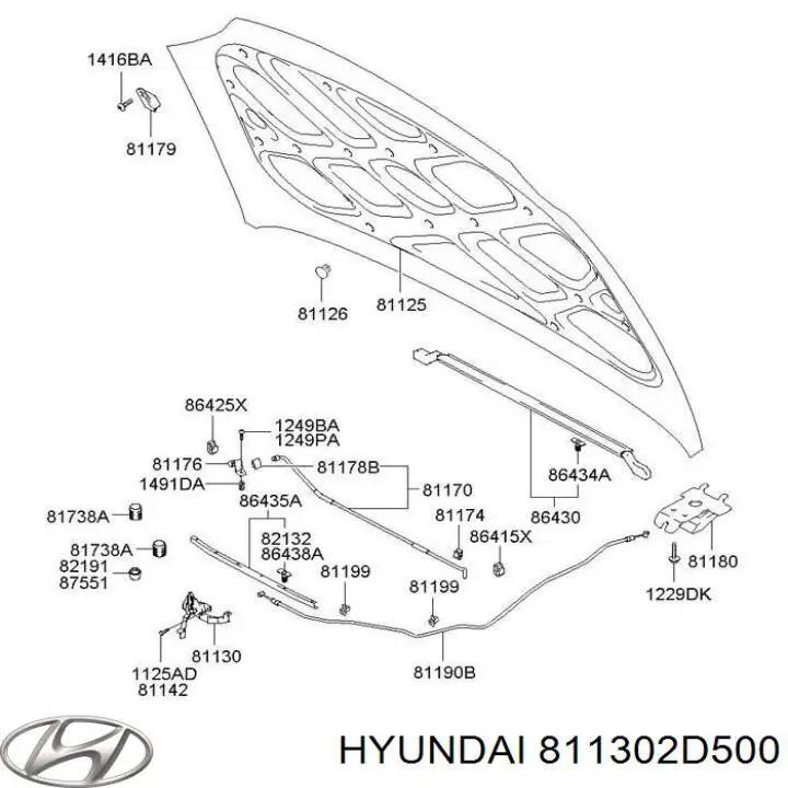 811302D500 Hyundai/Kia