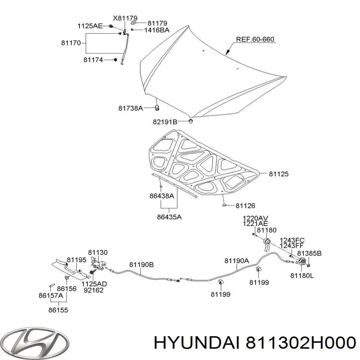 811302H000 Hyundai/Kia cerradura del capó de motor