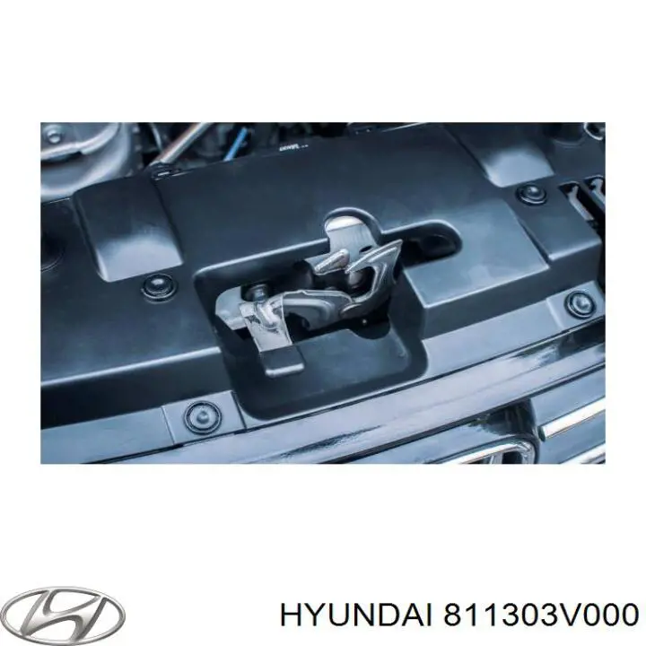 Cerradura del capó de motor Hyundai Azera (HG)