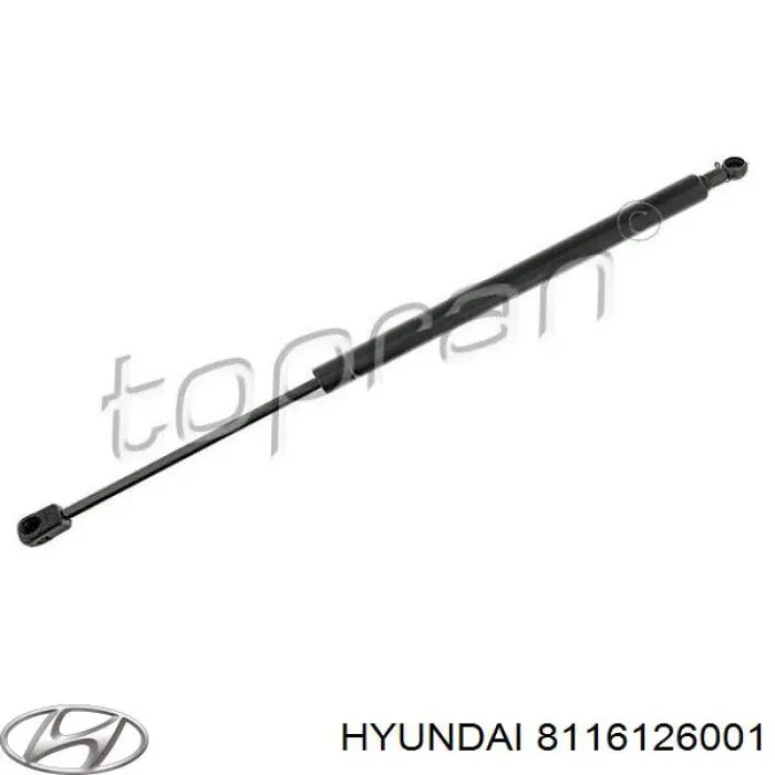 8116126001 Hyundai/Kia muelle neumático, capó de motor