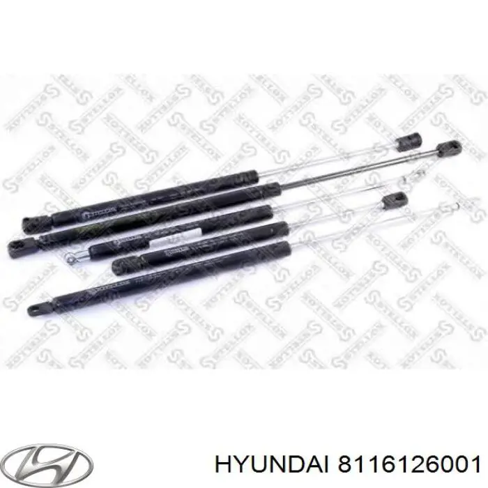 Muelle neumático, tapa delantera Hyundai/Kia 8116126001 precio, desde 10,85 EUR