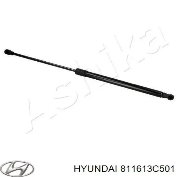 811613C501 Hyundai/Kia muelle neumático, capó de motor