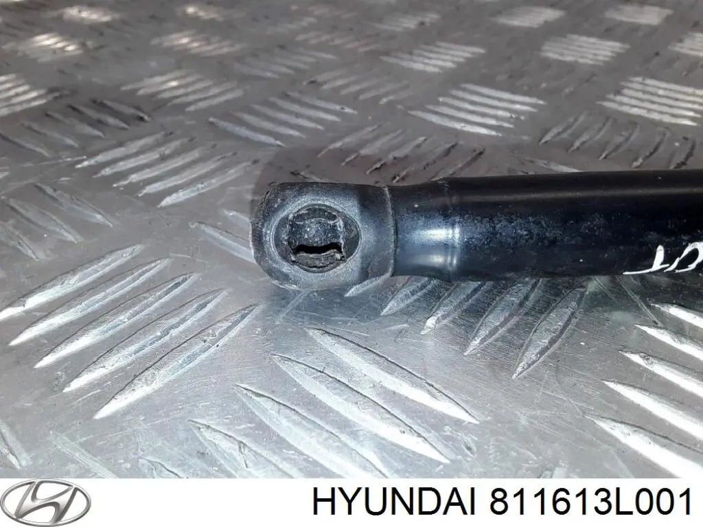 811613L001 Hyundai/Kia muelle neumático, capó de motor