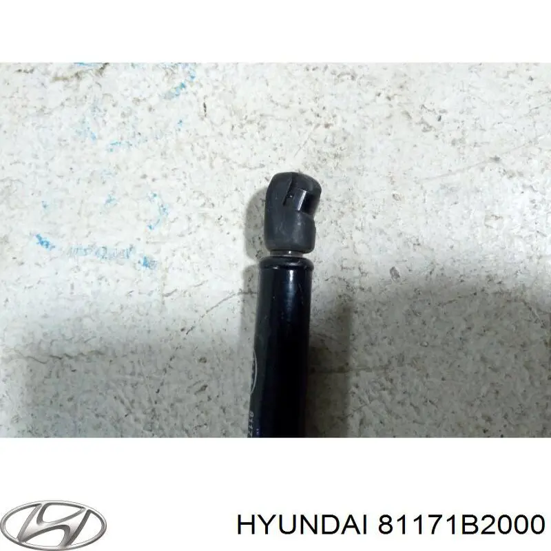 Muelle neumático, tapa delantera Hyundai/Kia 81171B2000 precio, desde 29,04 EUR