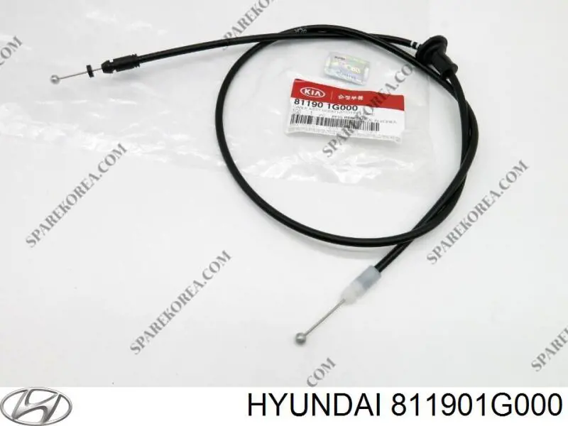 Cable de apertura del capó trasero 811901G000 KAP