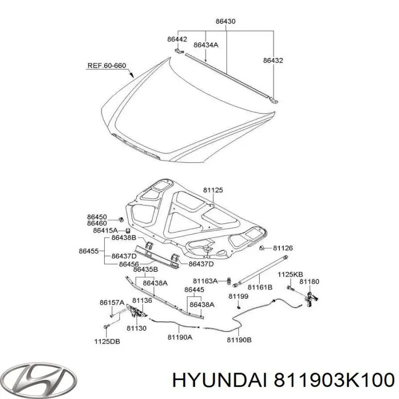 Cable de apertura del capó delantero Hyundai/Kia 811903K100 precio, desde 6,15 EUR