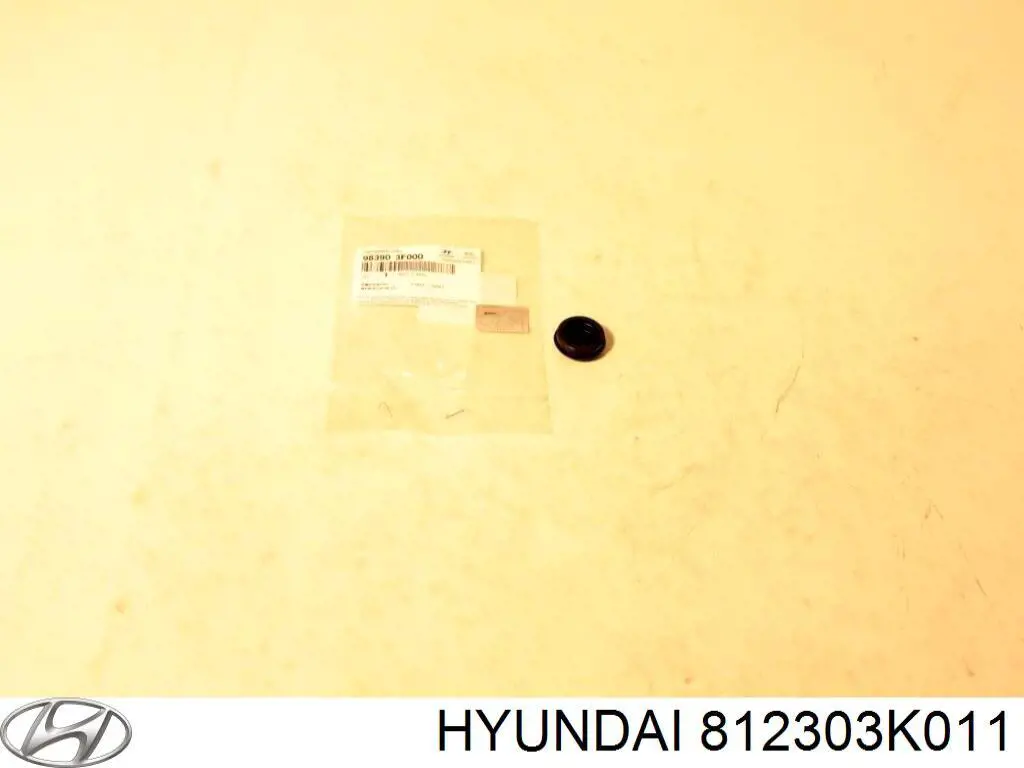 Cerradura de portón trasero Hyundai Sonata V sedán (NF) (2007 - 2010) precio, desde  EUR