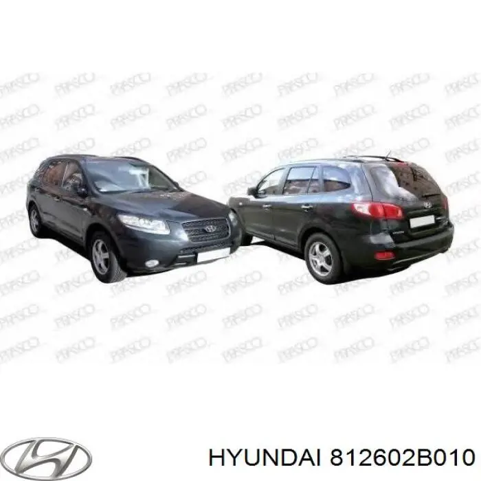 Tirador de maletero exterior Hyundai/Kia 812602B010 precio, desde 40,66 EUR
