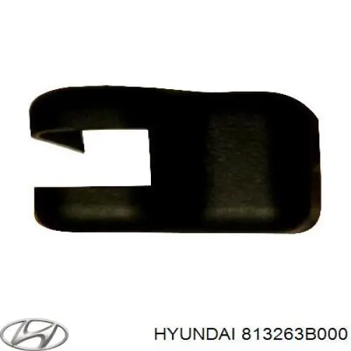 813263B000 Hyundai/Kia