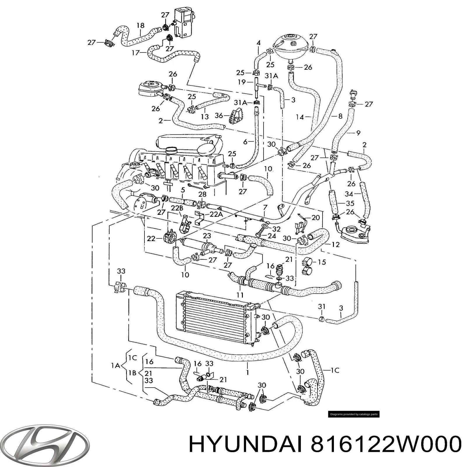 816122W000 Hyundai/Kia tapa de techo solar trasera