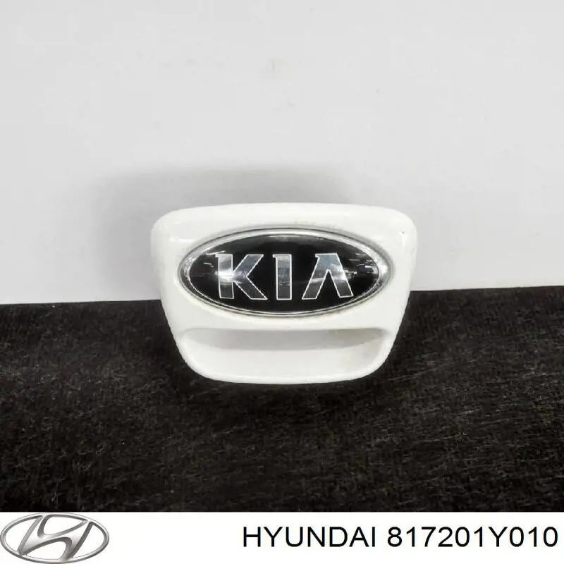 Tirador de maletero exterior Hyundai/Kia 817201Y010 precio, desde 138,14 EUR