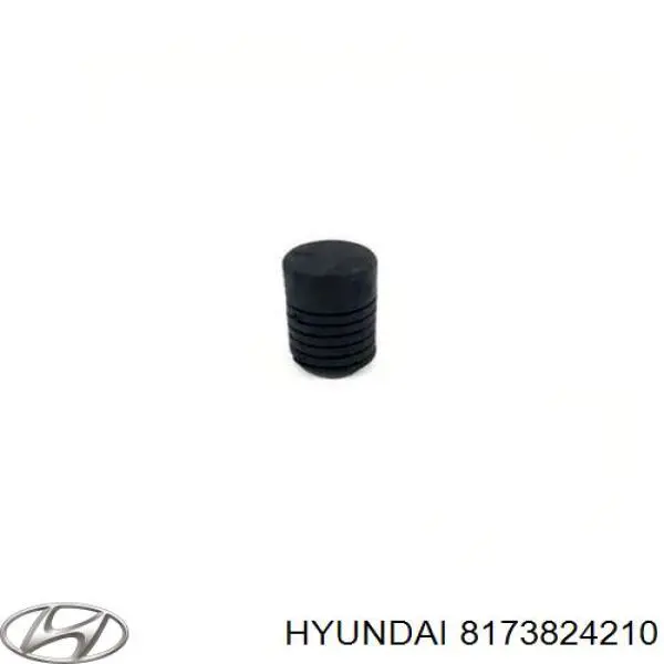 Comprar 8173824210 Hyundai/Kia Tope del capó