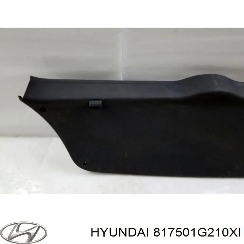 817501G210XI Hyundai/Kia