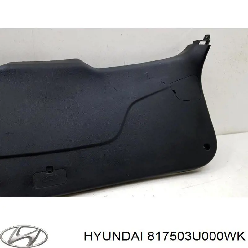 817503U000WK Hyundai/Kia