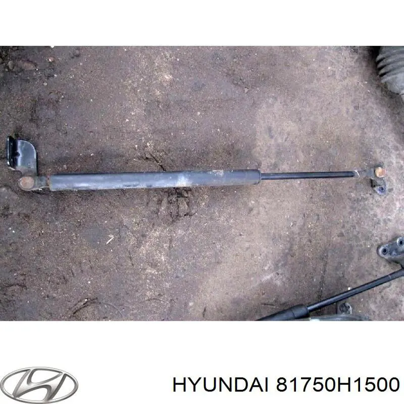 Amortiguador Para Porton Trasero (3/5 Puertas Traseras (Lisas) para Hyundai Terracan (HP)
