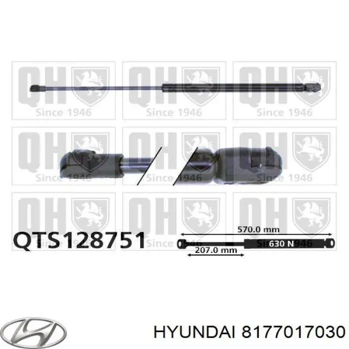 Amortiguador de maletero Hyundai/Kia 8177017030 precio, desde 14,73 EUR