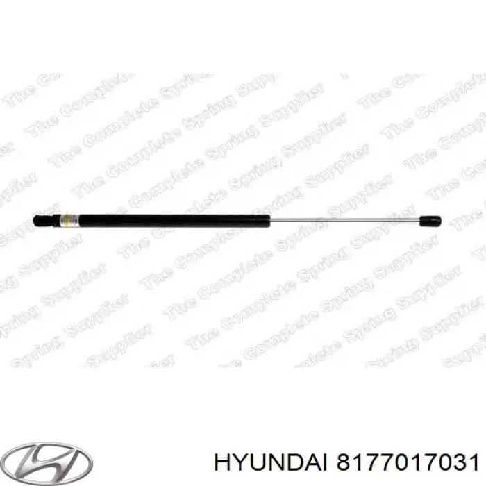 8177017031 Hyundai/Kia amortiguador de maletero