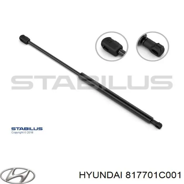 817701C001 Hyundai/Kia amortiguador maletero